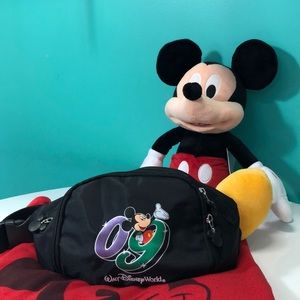 Vintage Disney Hip Hugger